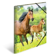 Sammelmappen A3 Pferde Set, 3