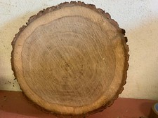 Baumscheibe Tischplatte Deko