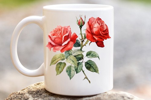 Aquarell rote rose tasse - aquarell,