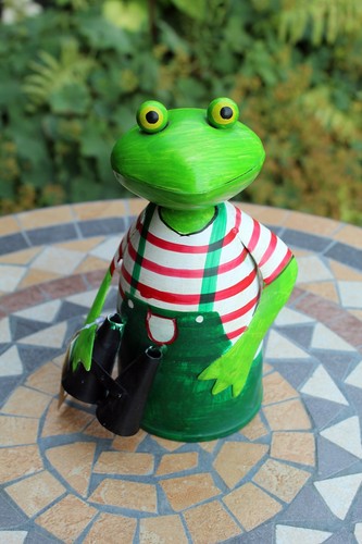 Zaunhocker frosch gärtner - zaunhocker,