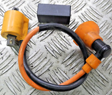 Zündspule und CDI ,Zündbox, TGB Bullet Roller