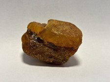 Bernstein roh groß Baltischer