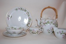 Teeservice Apfelblüte Blumen 21tlg.  Krautheim Top-Zustand