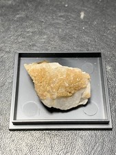 Scheelit, Quarz, Zinnwald, Osterzgebirge, Sachsen