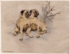 PUG MOPS HUND DOG LIMITED