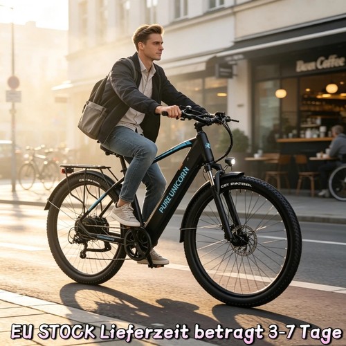 Elektrofahrrad 750w 48v 8ah - 750w, 48v/12,8ah