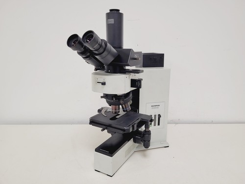 Olympus bx60m aufrecht - olympus,