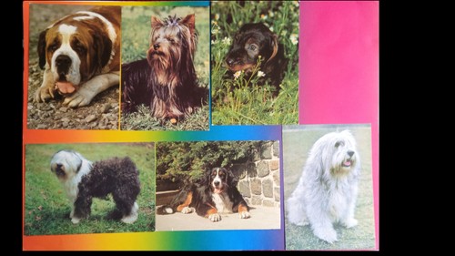Ddr postkarten hunde - 6x,