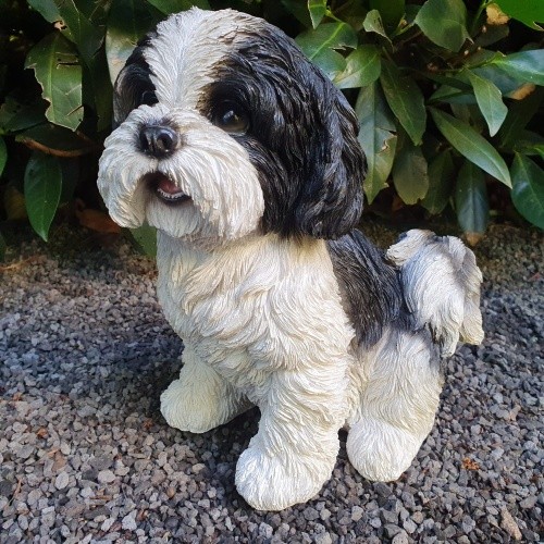 Gartenfigur shih tzu - shih, hunde