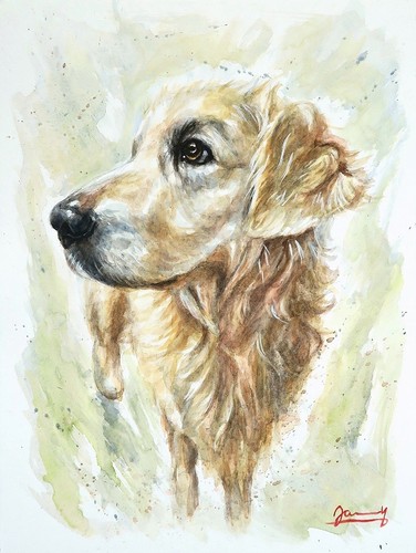 Original tierbild fritz - fritz, (2)
