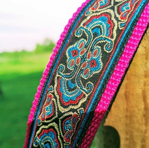 Hundehalsband gepolstert - hundehalsband,