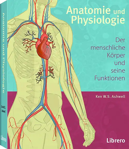 Anatomie und physiologie - anatomie,