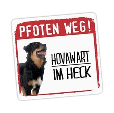 Hovawart Hovi Working