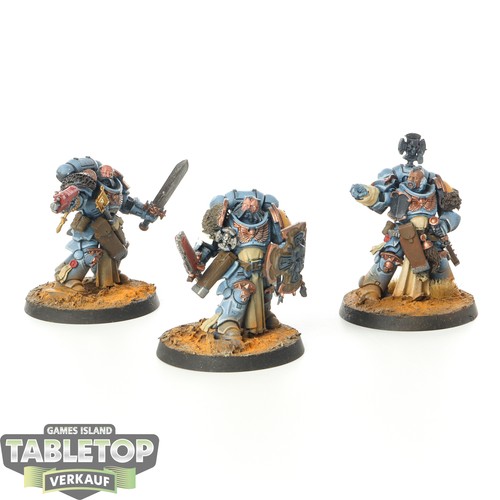 Space wolves 3x bladeguard - space,