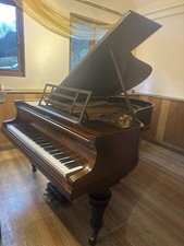 Blüthner Style 9 Aliquot