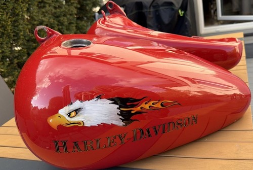 Harley davidson softail evo - harley,