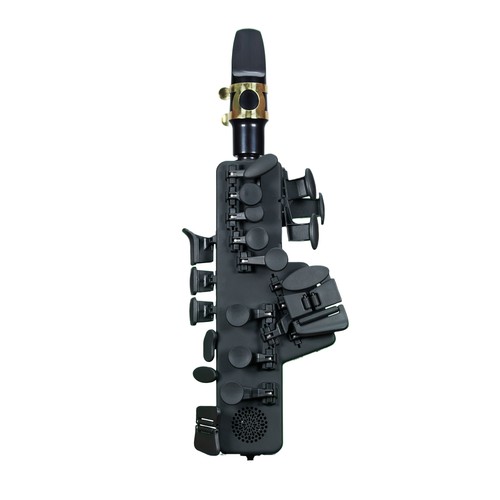 Odisei music travel sax - travel, 2