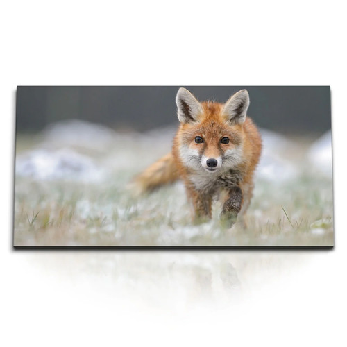 120x80cm kunstdruck bilder - 120x80cm,