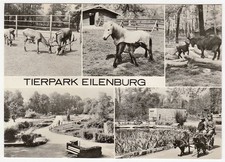 AK Eilenburg Tierpark