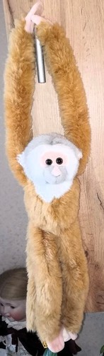 Klammeraffe affe gibbon - klammeraffe,