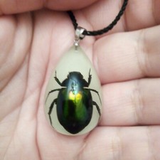 Grün schillernder Skarabäus