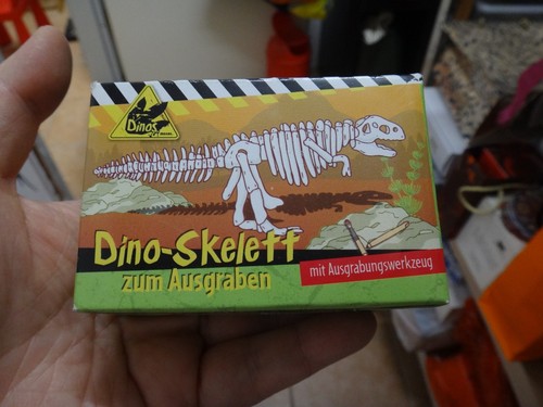 Dino skelett zum - zum, /