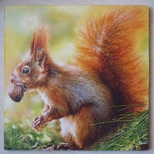 Deko HDF - Eichhörnchen Nüsse Natur Wald Tiere Herbst