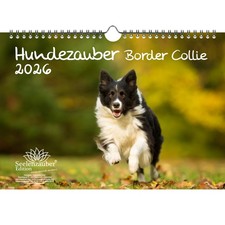 Hundezauber Border Collie DIN