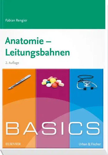 Basics anatomie - basics,