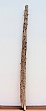 Schwemmholz ,Treibholz , Driftwood, 1 XL Ast  , Holz , Dekoration , Basteln Diy 