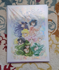 Sailor Moon Raisonne