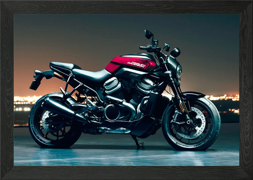 Harley davidson motorrad - davidson,