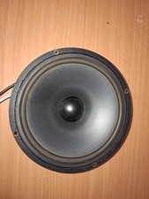 Tieftoner  Fur Magnat  MSP 60