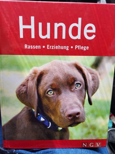 Ngv hunde rassen - rassen, erziehung
