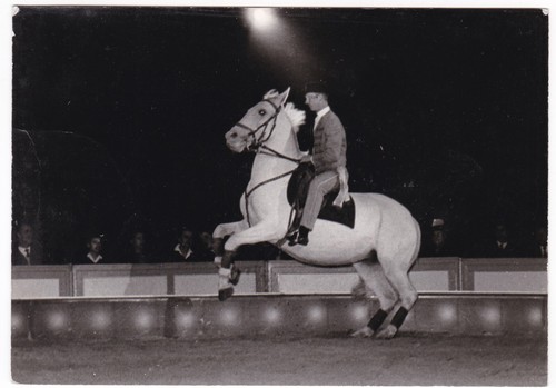 Foto zirkus circus barum - foto-ak,