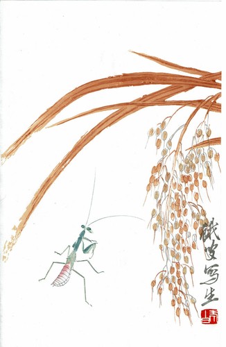 Chinesischer holzschnitt - chinesischer,