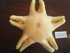 Jugoslawischer Fingerkürbis -