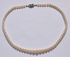 Akoya Perlenkette 585 Gelb &