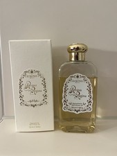 Santa maria novella - santa,
