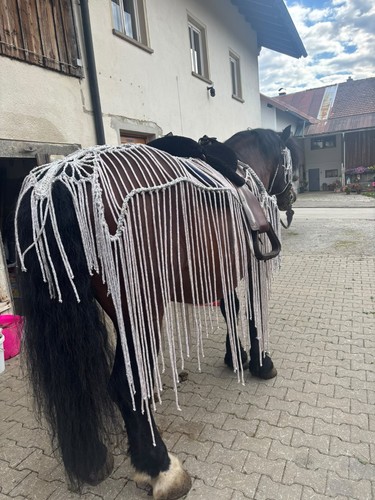 Fransen ausreitdecke fahrdecke - fransen,