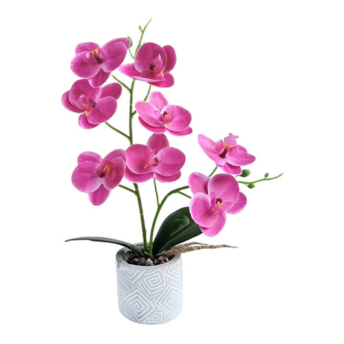 Künstliche orchidee - orchidee, im
