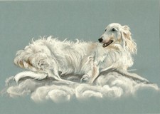 Windhund * Levrier  *Barsoi * Borzoi      A4  LIMITED   PRINT #  53