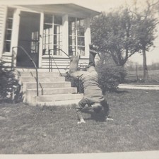 Man Doing Handstand On Grass