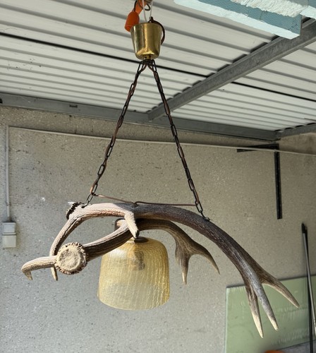 Geweih lampe mit glasabdeckung - mit,