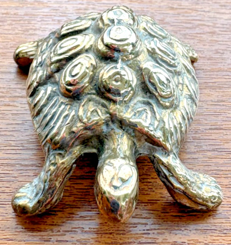 Messingfarbene schildkröte - messingfarbene,