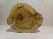 Baumscheibe, Holzscheibe