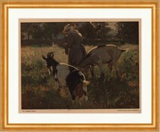 Im sonnigen Garten Rudolf Schramm Zittau Ziege Wiese Jugend 2147 Gerahmt