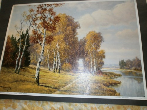 Kunstdruck birkenweg von - kunstdruck,,