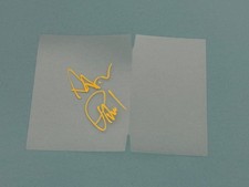 Aaron Paul -  Breaking Bad -