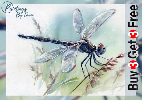Libelle auf wildem gras - wildem, 5"x7"